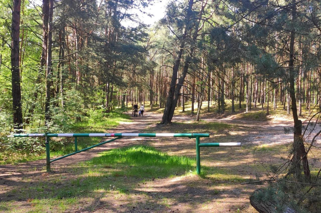 Camp Bursztynowy Las Гданск Екстериор снимка