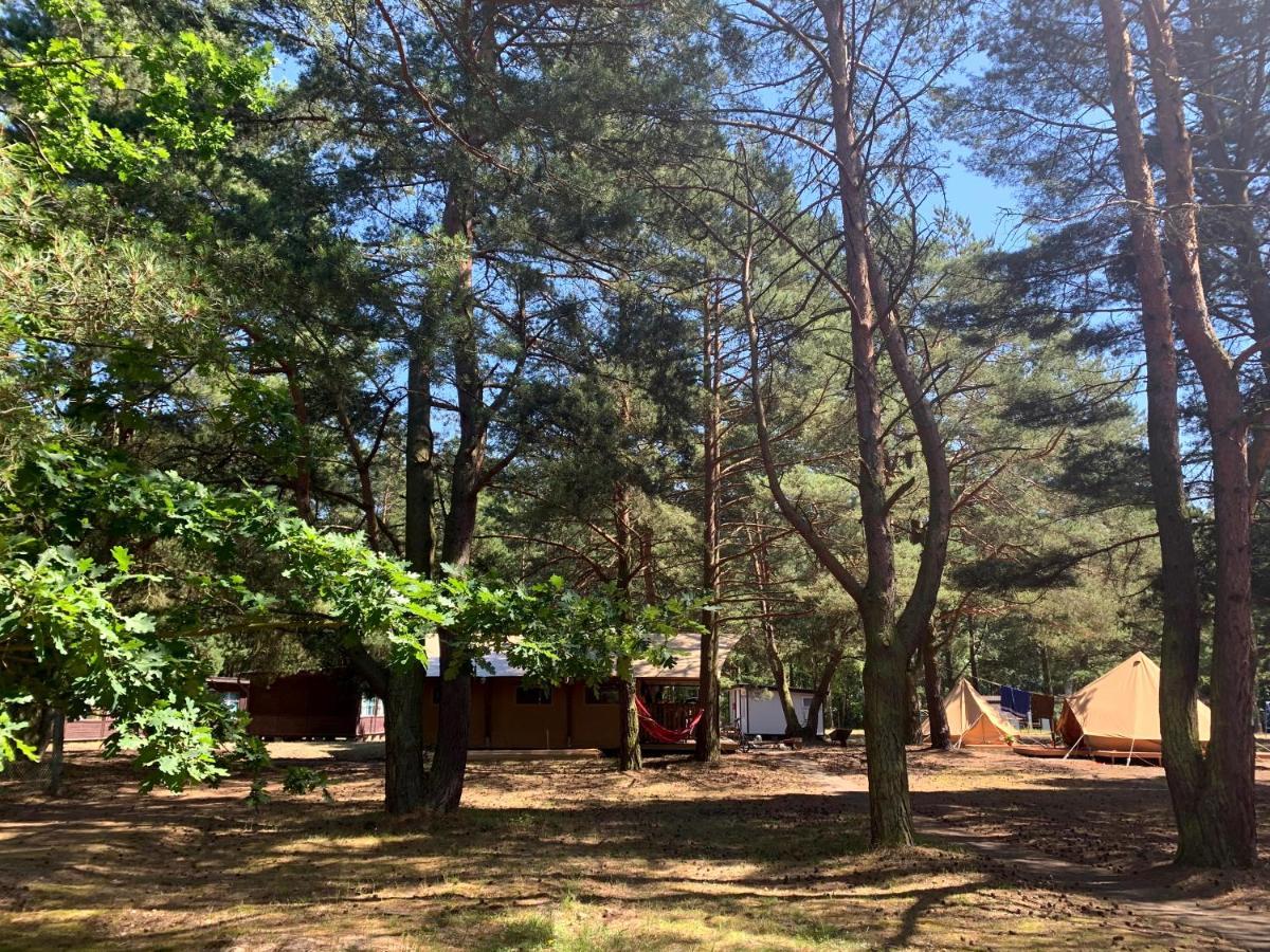 Camp Bursztynowy Las Гданск Екстериор снимка