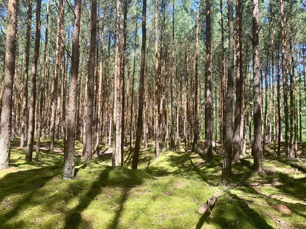 Camp Bursztynowy Las Гданск Екстериор снимка